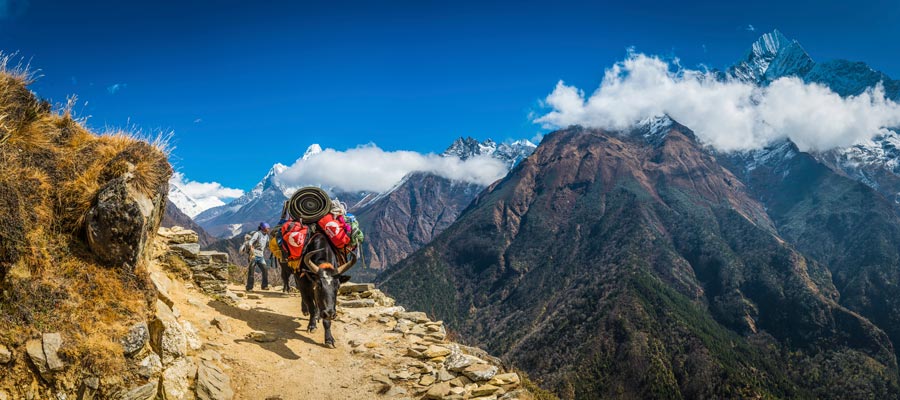 7 trekkings en Nepal 7 trekkings en Nepal