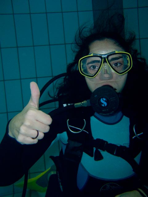 ¿Sobrevivirías? ¿Sobrevivirías?