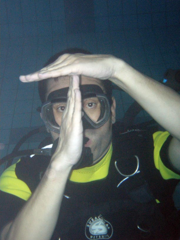 ¿Sobrevivirías? ¿Sobrevivirías?