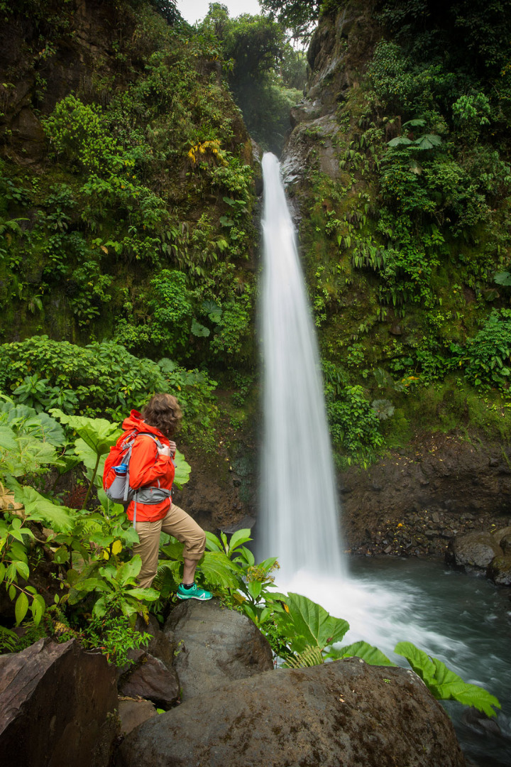 Costa Rica y el oro verde Costa Rica y el oro verde