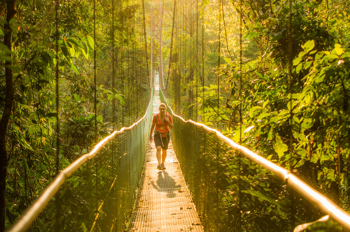 Costa Rica y el oro verde Costa Rica y el oro verde